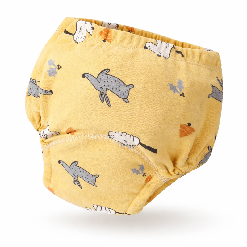 CULOTTE KIDOO 🦖
